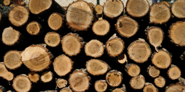 A po iu ktheheni druve?