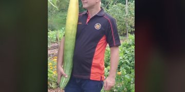 Vendi ku rritet kastraveci më i gjatë në botë