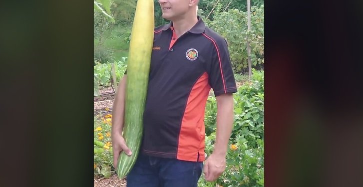 Vendi ku rritet kastraveci më i gjatë në botë