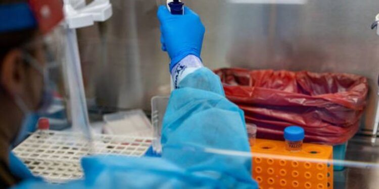 Rusia del me teori të re mbi origjinën e koronavirusit!