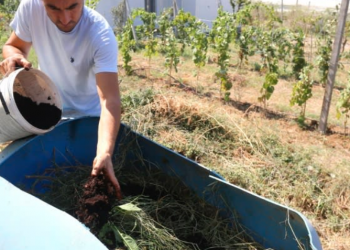 Gjendje krize, fermeri shqiptar përdorë kafe në vend të plehut artificial për kulturat bujqësore të tij