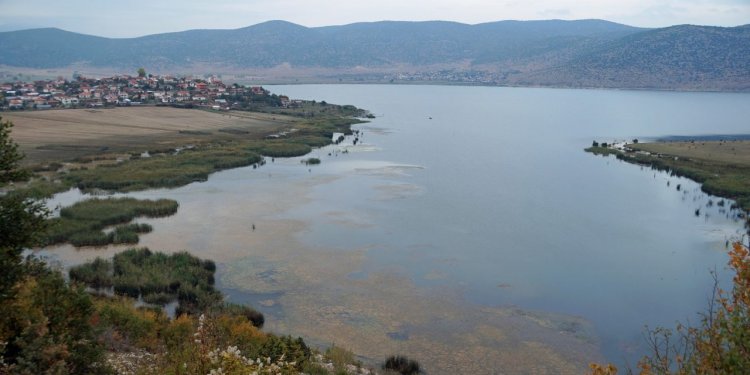 Shkon për të peshkuar, mbytet në ujërat e Liqenit të Prespës së Madhe!