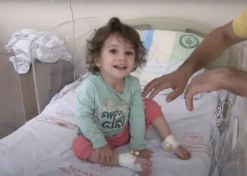 Vogëlushja kafshon dhe vret gjarpërin pasi e kafshoi ai i pari!