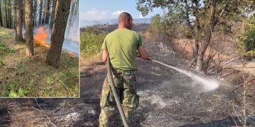 Shtohen vatrat e zjarrit nga jugu në veri, autoritetet: Shumë janë të qëllimshme!