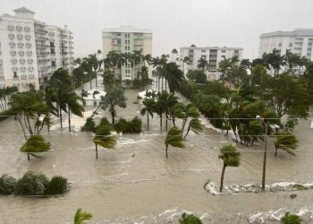Uragani në Florida, planifikohen përpjekjet për shpëtim nga toka, ajri e deti
