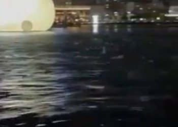 Peshqit i ndjenë valët sizmike para tërmeteve të forta në Tajvan, shikoni reagimet e tyre!