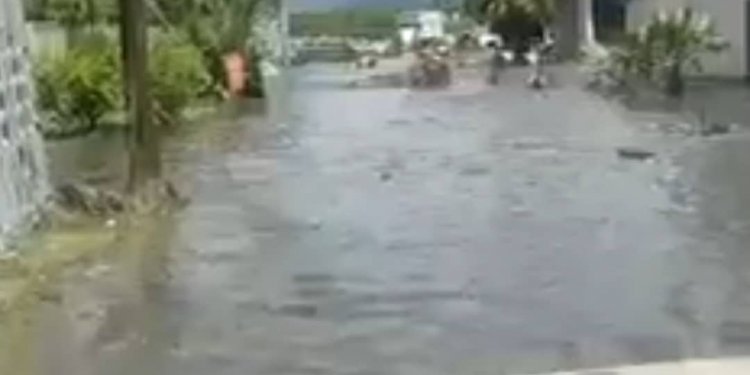 Cunami fillon të godas disa brigje në Meksikë!