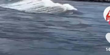 Lëvizje e abnormale e valëve të oqeanit pas tërmetit të fuqishëm në Meksikë!