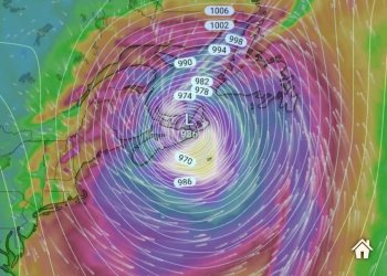 “Fiona” shndërrohet në “Frankenstein”!
