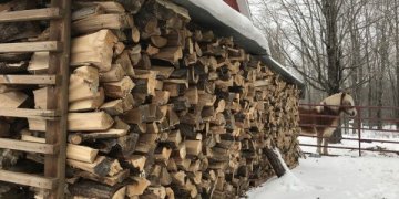 Çmimet e larta të energjisë në Gjermani detyrojnë qytetarët të përdorin drutë!