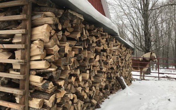 Çmimet e larta të energjisë në Gjermani detyrojnë qytetarët të përdorin drutë!