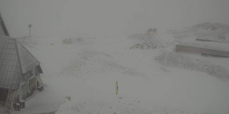 Bora e parë në Kredaricë rë Sllovenisë