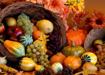 VJESHTA, STINË E BEGATISË ME FRUTA TË SHËNDETSHËM!