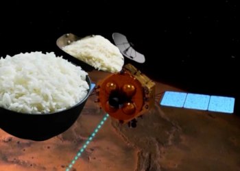 Arsyeja pse Kina po kultivon oriz në Mars