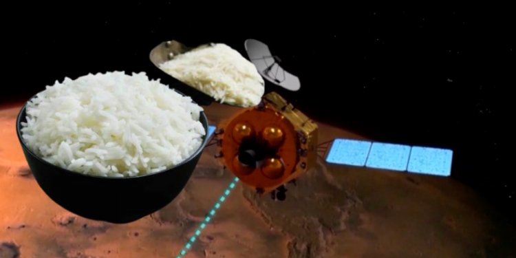 Arsyeja pse Kina po kultivon oriz në Mars