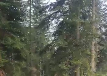 Fillon bora e parë në Rugovë