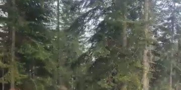 Fillon bora e parë në Rugovë