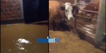 Përmbytje të mëdha në disa fshatra të Podujevës (VIDEO)