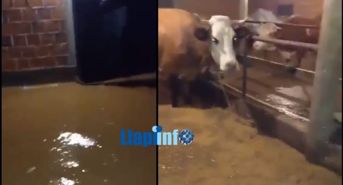 Përmbytje të mëdha në disa fshatra të Podujevës (VIDEO)