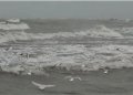 Anulohen lundrimet nga Durrësi, shkak moti i ashpër!