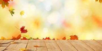 Disa arsye pse duhet ta doni stinën e vjeshtës