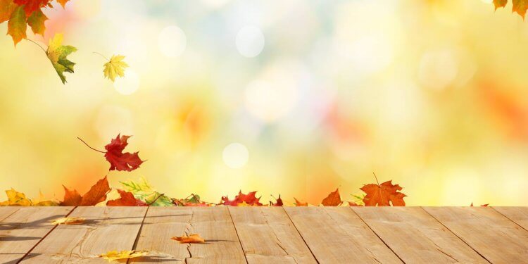 Disa arsye pse duhet ta doni stinën e vjeshtës