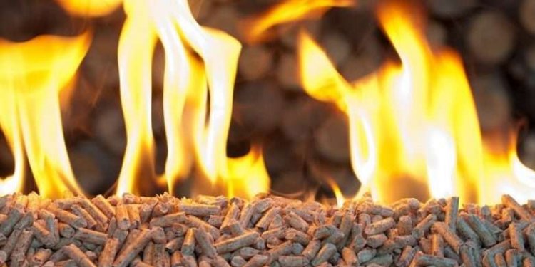 Qeveria e Kosovës do ta ndalojë eksportimin e peletit, së shpejti vendimi