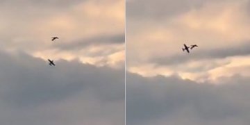 Momenti i përplasjes së dy aeroplanëve në Gjermani, vdesin të dy pilotët