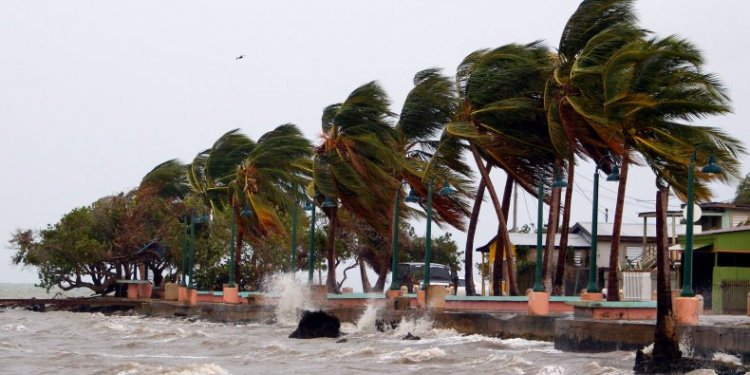 I tërë ishulli në errësirë nga Fiona