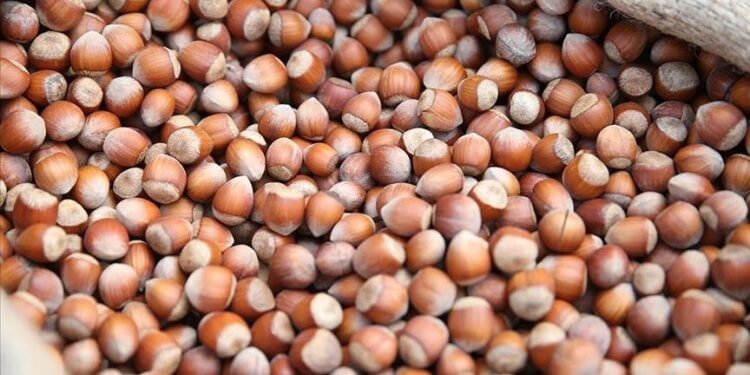 Turqia shiti lajthija këtë vit në vlerë pothuajse sa buxheti i Kosovës