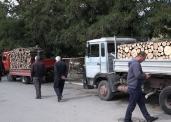 Drutë dyfish më shtrenjtë sesa një vit më parë, qytetarët: Nuk kemi qare pa i ble!