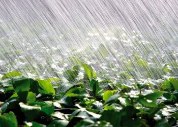 Moti për ditën e sotme