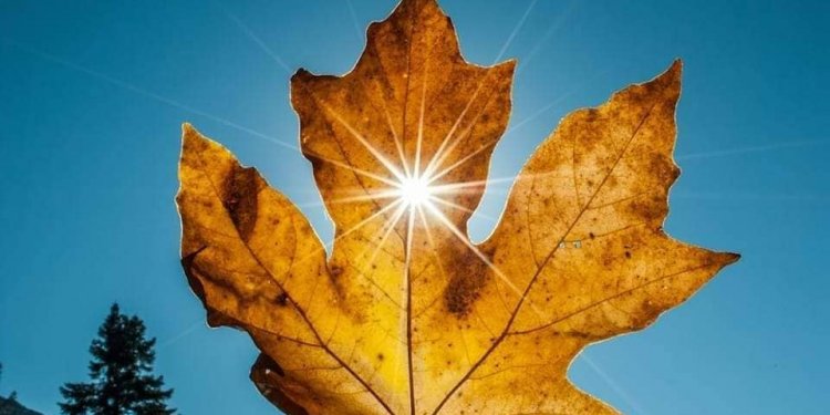 Çka është “Vera Indiane” dhe kur ndodh ky fenomen?