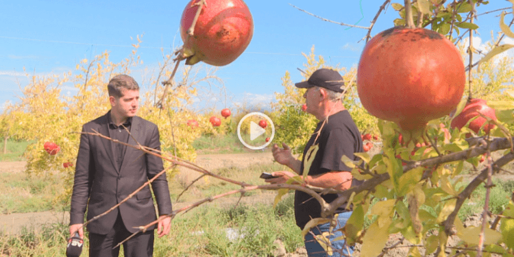 Në krizë për punëtorë, u bën thirrje studentëve: Punoni dy ditë në javë tek unë, u jap 100 euro