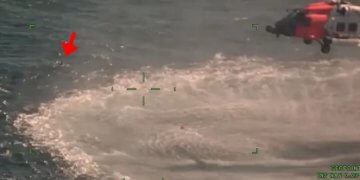 Del videoja rrëqethëse kur tre peshkatarë rrethohen nga peshkaqenët