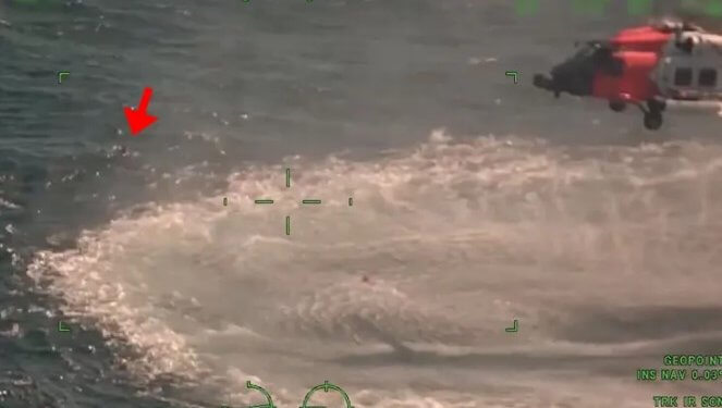 Del videoja rrëqethëse kur tre peshkatarë rrethohen nga peshkaqenët