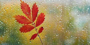 Moti nesër dhe ditëve në vazhdim! (12.10.2022.) E Mërkurë