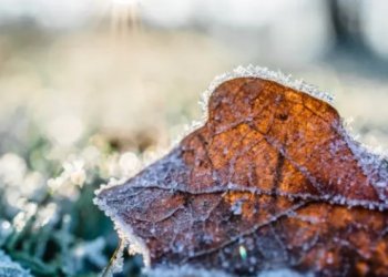 Moti për ditën e sotme