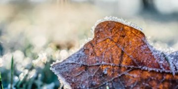 Moti për ditën e sotme