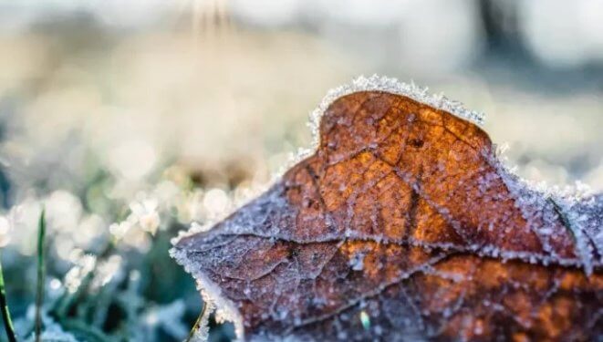 Moti për ditën e sotme