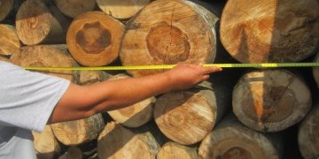 Konflikti për drutë, si e rrahu burri nga Istogu personin që dyshoi se e mashtroi në metra