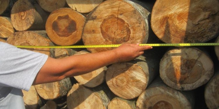 Konflikti për drutë, si e rrahu burri nga Istogu personin që dyshoi se e mashtroi në metra