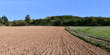 Komuna e Prishtinës ua paguan bujqve 80 përqind e tutje të shpenzimeve për mbjelljen e grurit (VIDEO)