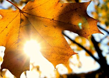 Moti sot dhe ditëve në vijim!