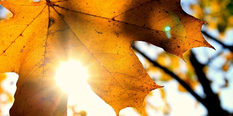 Moti sot dhe ditëve në vijim!