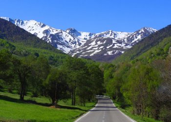 Erdhi nga Gjermania, pas 20 ditësh në Prevallë thotë se e shëroi diabetin