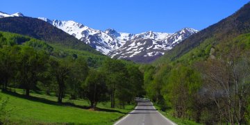 Erdhi nga Gjermania, pas 20 ditësh në Prevallë thotë se e shëroi diabetin