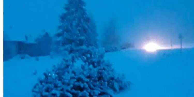 Bora e parë “zë në befasi” komunen Zvicerane!