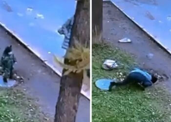 Djaloshi i vogël bjen në gropë, shpëtohet mrekullisht nga e ëma dhe kalimtarët e rastit!