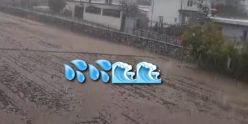 Reshje të dendura shiu në Qarkun e Shkodrës! VIDEO